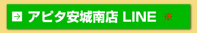 アピタ安城南店